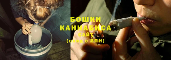 бошки Алексин