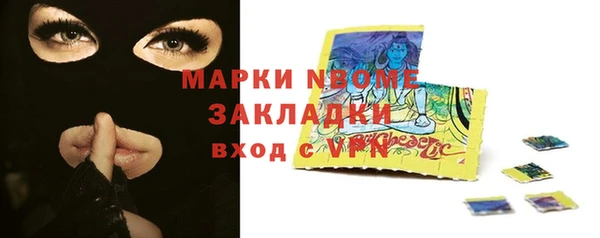 хмурый Алзамай