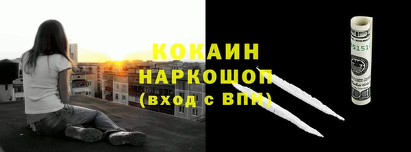 хмурый Алзамай