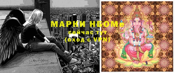 хмурый Алзамай