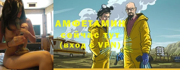 хмурый Алзамай