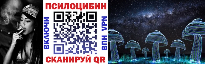 blacksprut ONION  Судогда  Псилоцибиновые грибы Psilocybine cubensis 