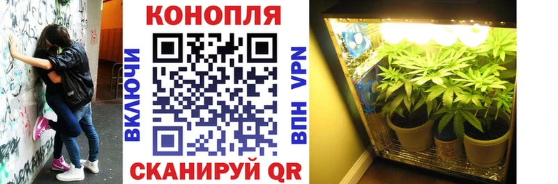 наркота  Судогда  KRAKEN зеркало  МАРИХУАНА семена 